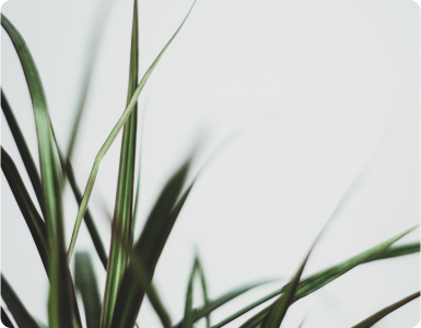 Blog 1